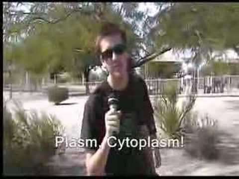 "Plasm, Cytoplasm"