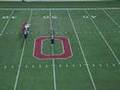 OSU presents the Krebs Cycle
