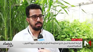 الزراعة الملحية كبديل ناجع لمقاومة الملوحة والجفاف بجهة العيون -الساقية الحمراء