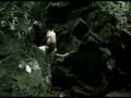 Bush Buddies NZ trailer