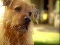 Touchstone Energy Commercial