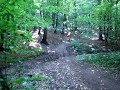 Yamaha YZ 250