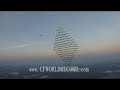 Canopy Formation 100 way world record 2007