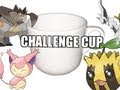 Pokemon Black & White Wi-Fi Battle: shofu vs pokeaimMD *CHALLENGE CUP*