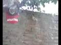 videos de colon (raza puta)