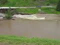 Bulkley River/Moricetown Canyon