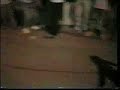 adiga circassian adigha adegha circassia adygha adyga