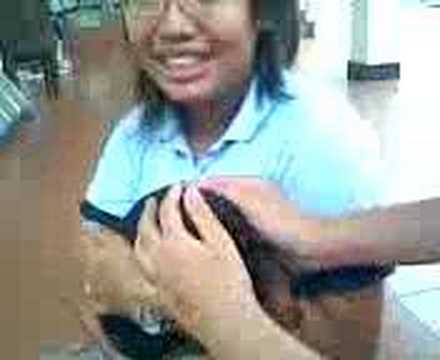 rottwiler