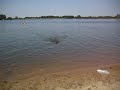 groby on the beach