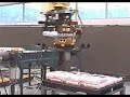 Rob� paletizando FANUC - Robot palletizing FANUC