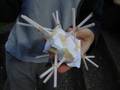 Physics Egg Drop