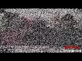 Bozack and Sammy Season 2_Ep2