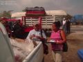 DIF TABASCO ENTREGA APOYOS EN RUIZ  CORTINEZ, LA VENTA..flv