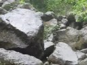 Trafalgar Falls - Dominica