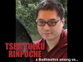 karma yoga - KARMA&AVOIDANCE of NON-VIRTUES by Tsem Tulku Rinpoche