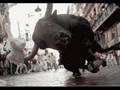 Los toros Mas Fuertes