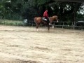 Reining Maarten 21-08-2010