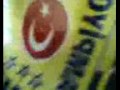 11/C Hat?ras? Alaehir
