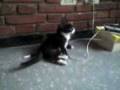 videos de janis futbolista.3gp