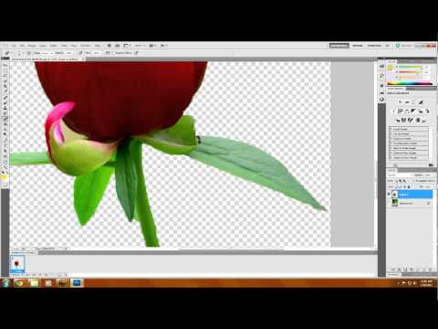 Image de prévisualisation YouTube