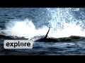 videos de Feeding Time