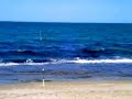 surfcasting alicantezona de pesca aguamarga