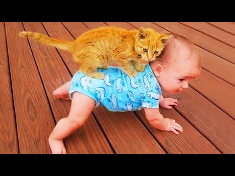 Funniest Baby And Cat #2 - Funny Baby Video