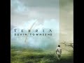 The Fluke-Devin Townsend