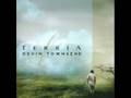 The Fluke-Devin Townsend