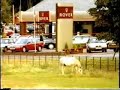 Rover 1994 advert (second hand cars) Rover 1994 advert (second hand cars)