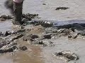 creek mud 2004 4