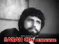 pollywood lollywood bollywood pukhtu pakhtu pushto irani persian iran hindi india afghan afghani hewad watan film actor