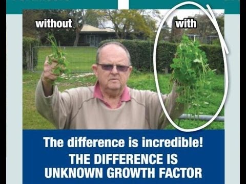 how to dissolve gibberellic acid