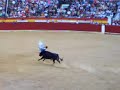 triple salto recortadores triple salto recortadores