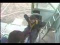 The Thrillogy Bungy Jump Queenstown New Zealand