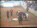 COLEO LOS LLANOS 2007 (2)