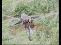 Training of Hizbul Mujahedin in...