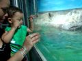Eu e meus dois amores no aquario de Santos.wmv