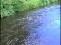 Playing a big salmon on the Doon part 2 Playing a big salmon on the Doon part 2