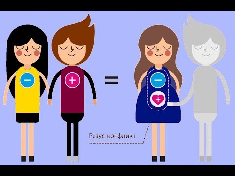 Видео: 3 группа крови: совместимость и характеристика