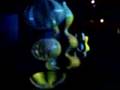 TIMELESS UNIVERSE/PAUL FRIEDLANDER