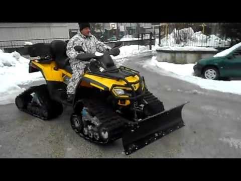 Guarda il video