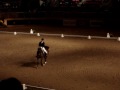 Freestyle Dressage Championships