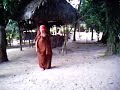 papiluchi jefe ashaninka