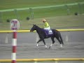 ?????138???????138th Tenno Sho Autumn?
