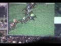 【競馬】第138回天皇賞・秋（138th Tenno Sho Autumn）