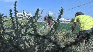 برنامج أصل الحكاية منطقة الشوكة رفح انتاج تلفزيون فلسطين