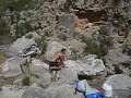 El rey leon en el rio fraile