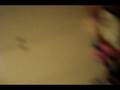 videos de Haha, ridiculousness