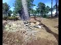 NICK - JUMP